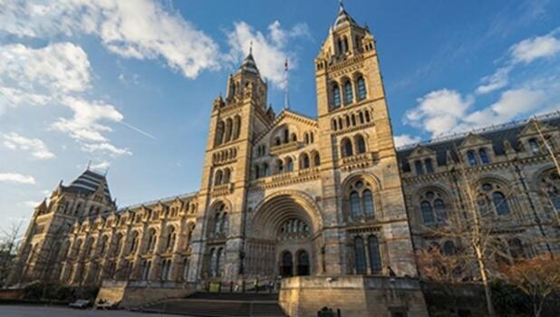 1-bed Apartment, Close To Kensington Olympia With Free Wi-fi & Netflix Apartment London
