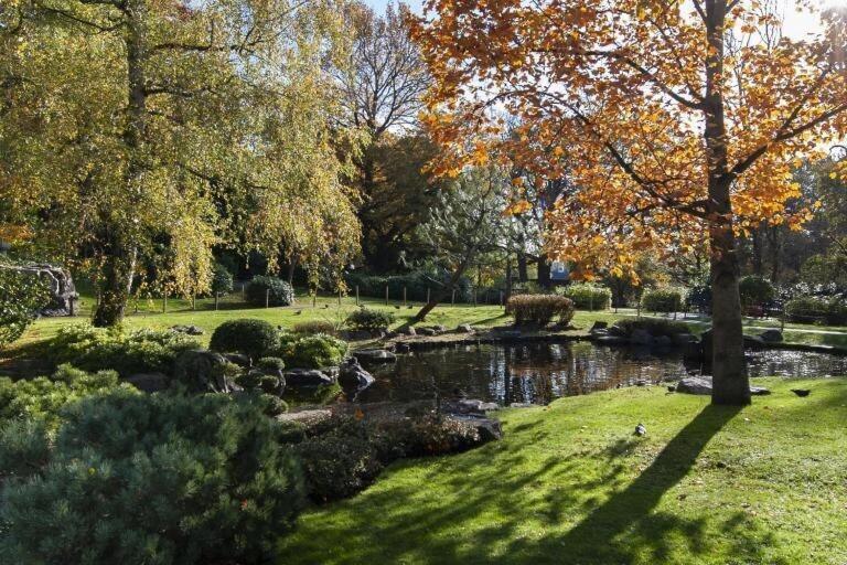 Apartment 1-bed Apartment, Close To Kensington Olympia With Free Wi-fi & Netflix